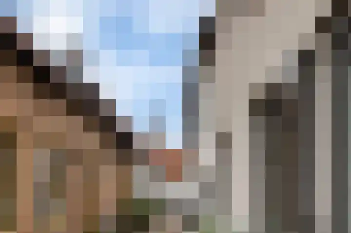 2e Steeg 1 4 Hattem thumbnail 23