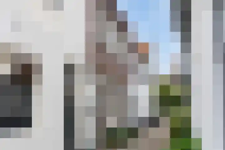 2e Steeg 1 4 Hattem thumbnail 4