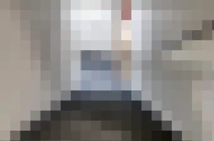 2e Steeg 1 4 Hattem thumbnail 5