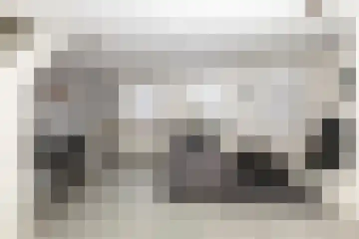 2e Steeg 1 4 Hattem thumbnail 7