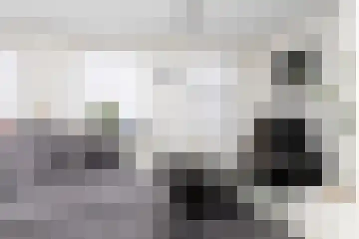 2e Steeg 1 4 Hattem thumbnail 8