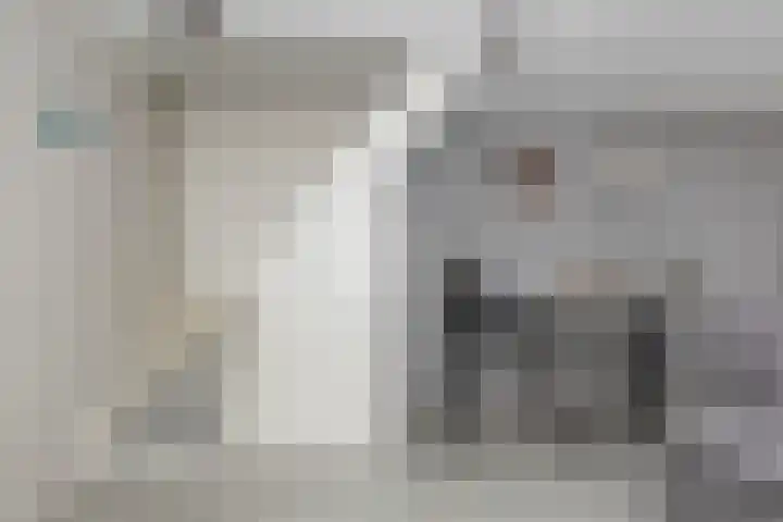 2e Steeg 1 4 Hattem thumbnail 9