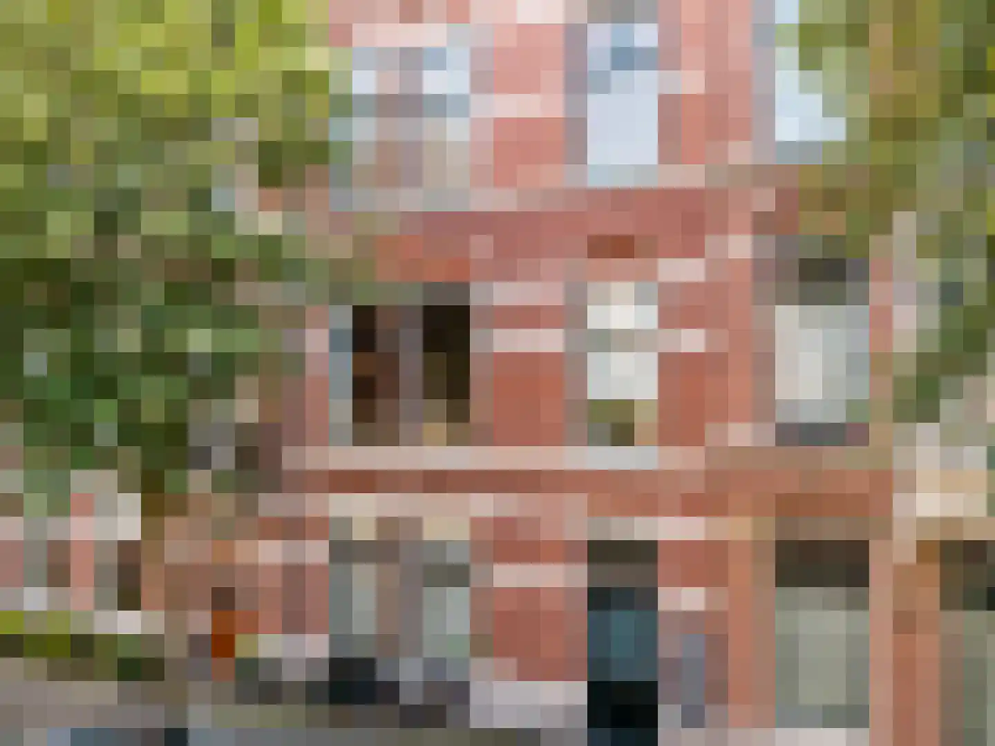 2e Sweelinckstraat 82 A Den Haag