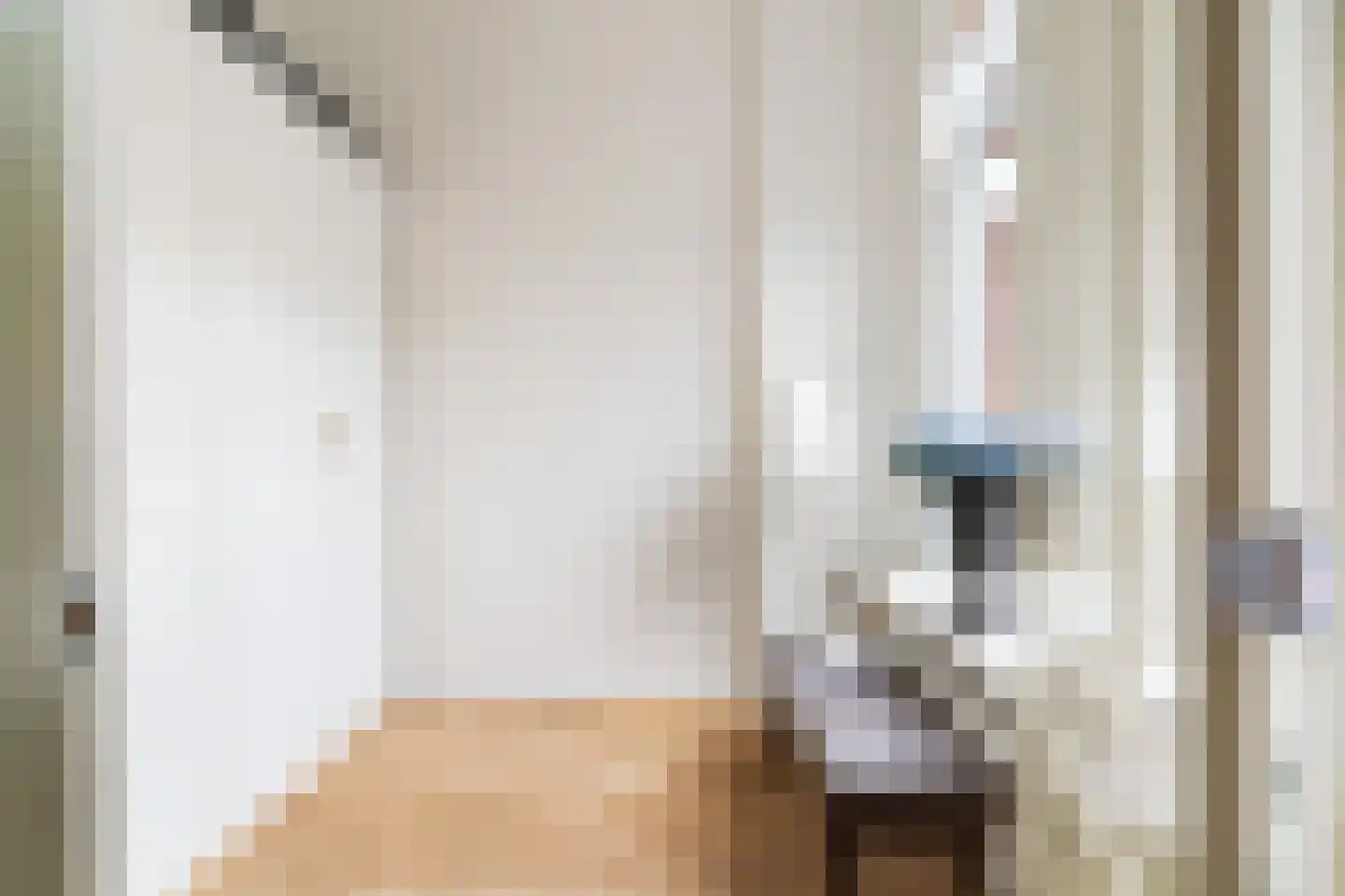 2e Sweelinckstraat 82 A Den Haag thumbnail 33
