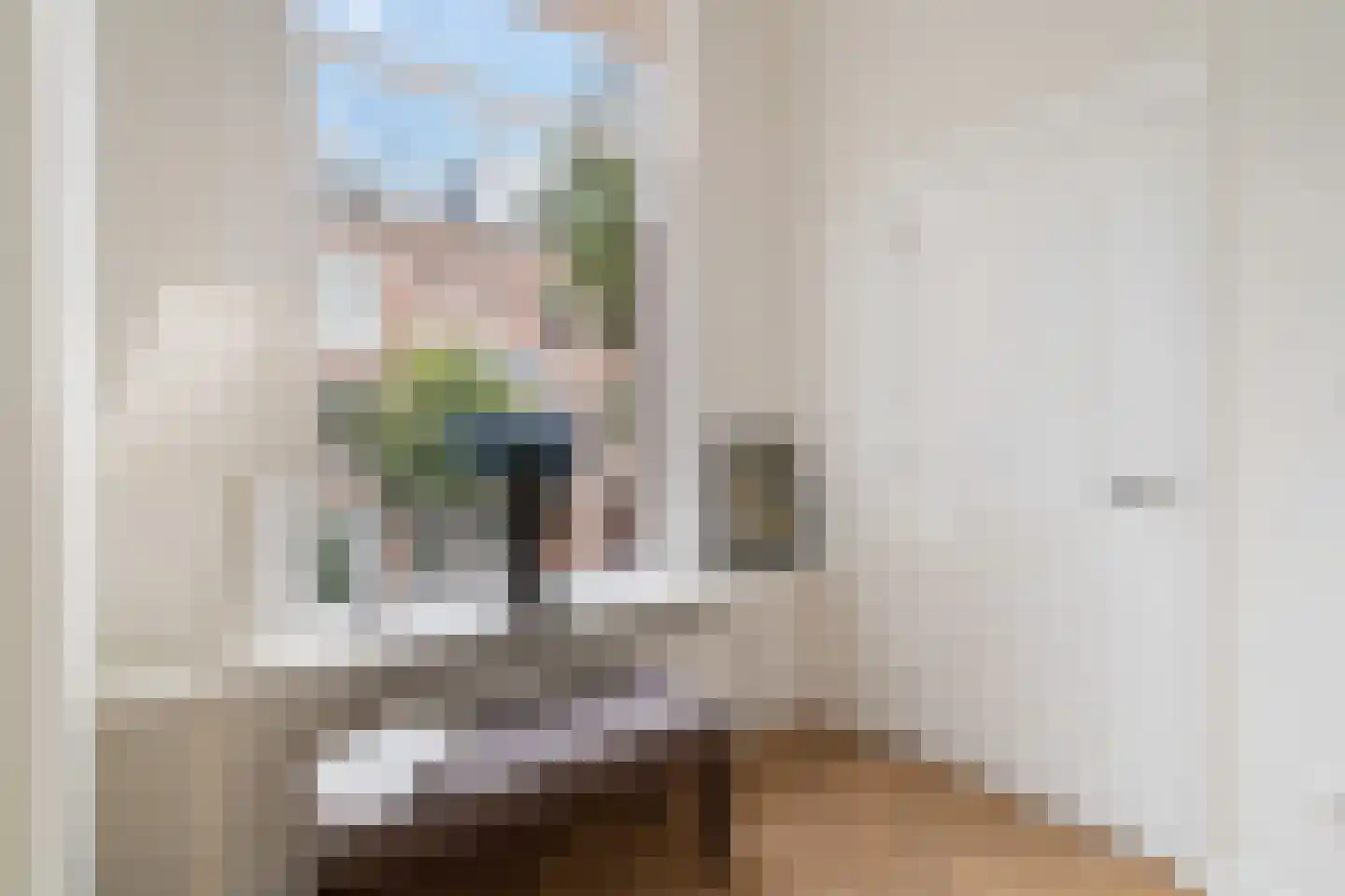 2e Sweelinckstraat 82 A Den Haag thumbnail 34