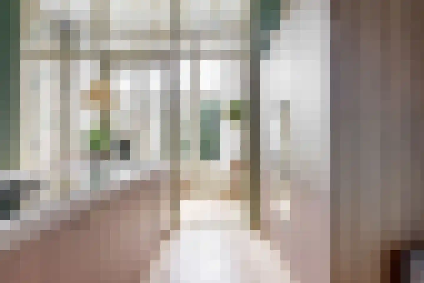 2e Sweelinckstraat 82 A Den Haag thumbnail 9
