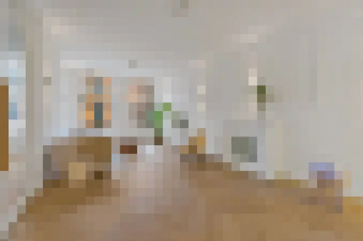 2e Sweelinckstraat 83 Den Haag thumbnail 14