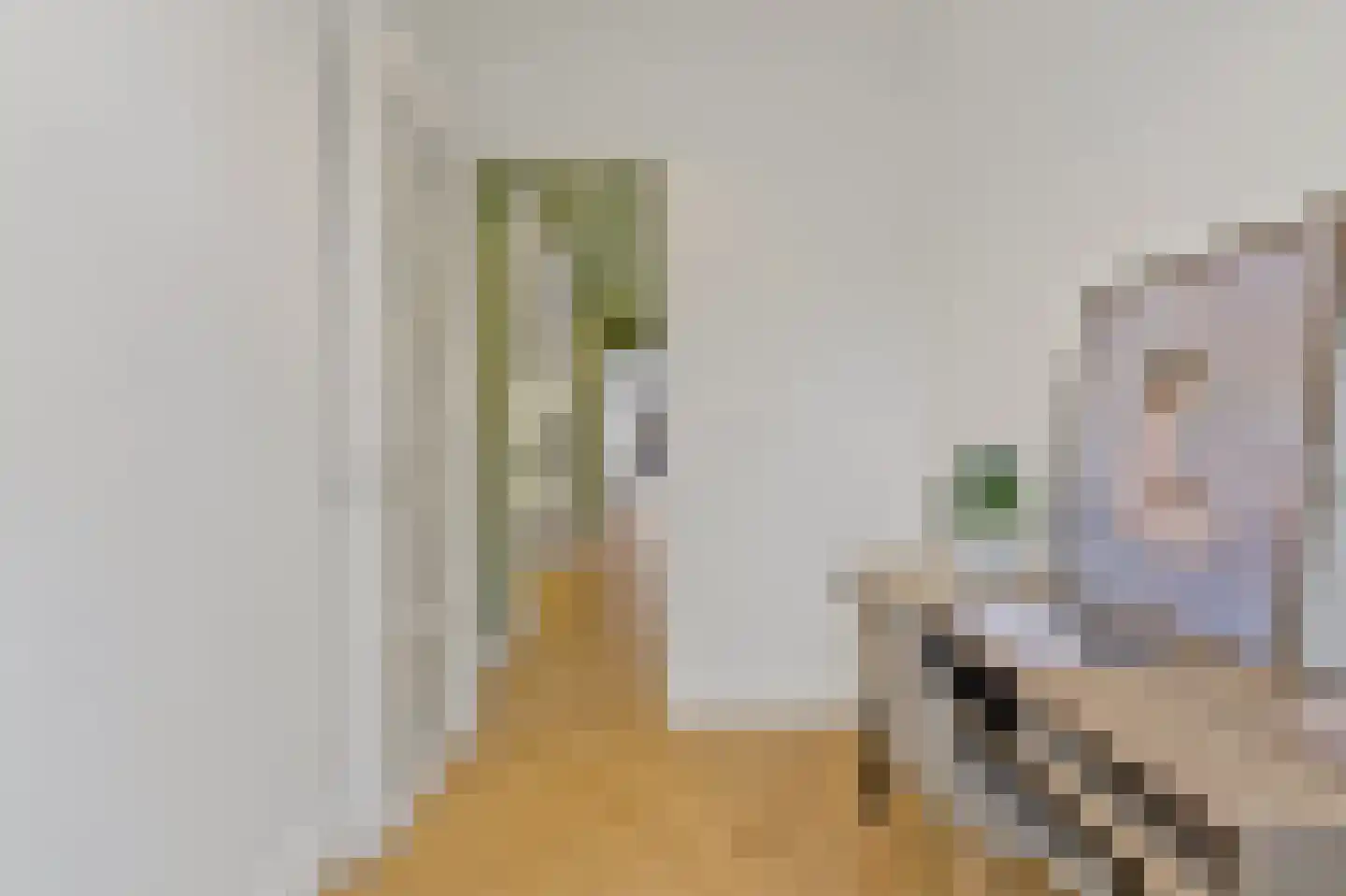 2e Sweelinckstraat 83 Den Haag thumbnail 32