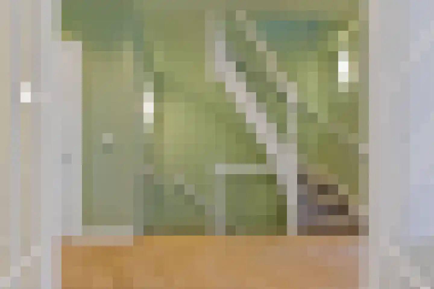 2e Sweelinckstraat 83 Den Haag thumbnail 32