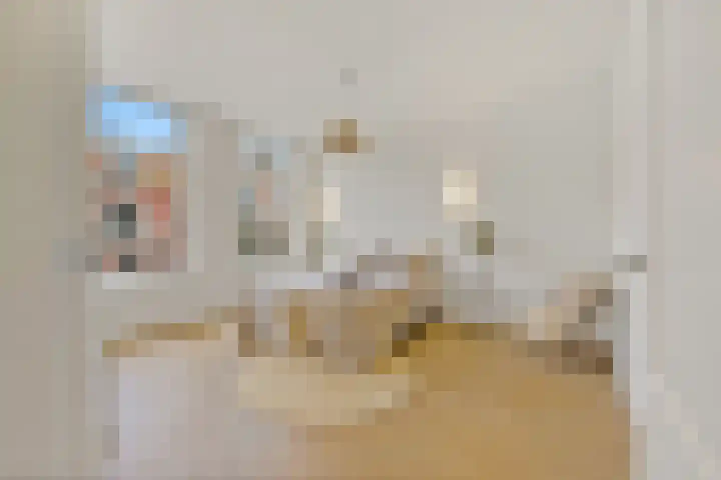 2e Sweelinckstraat 83 Den Haag thumbnail 34
