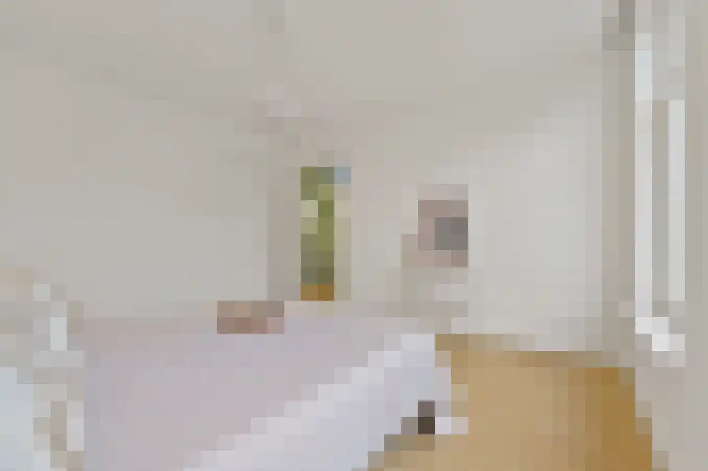 2e Sweelinckstraat 83 Den Haag thumbnail 35