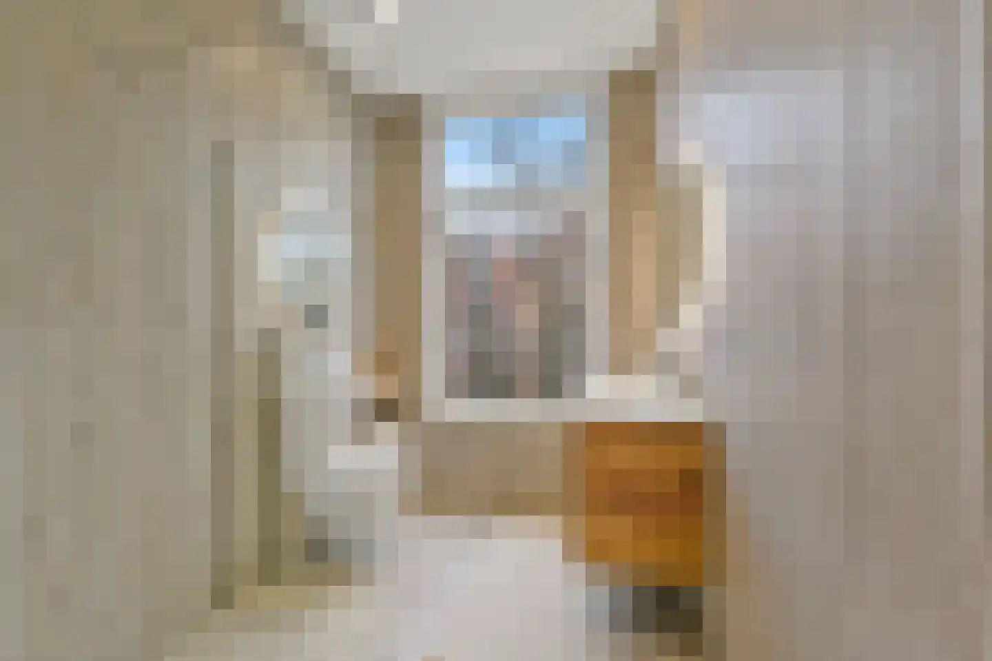 2e Sweelinckstraat 83 Den Haag thumbnail 43