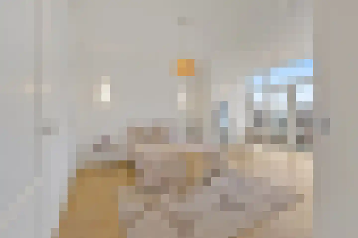 2e Sweelinckstraat 83 Den Haag thumbnail 47