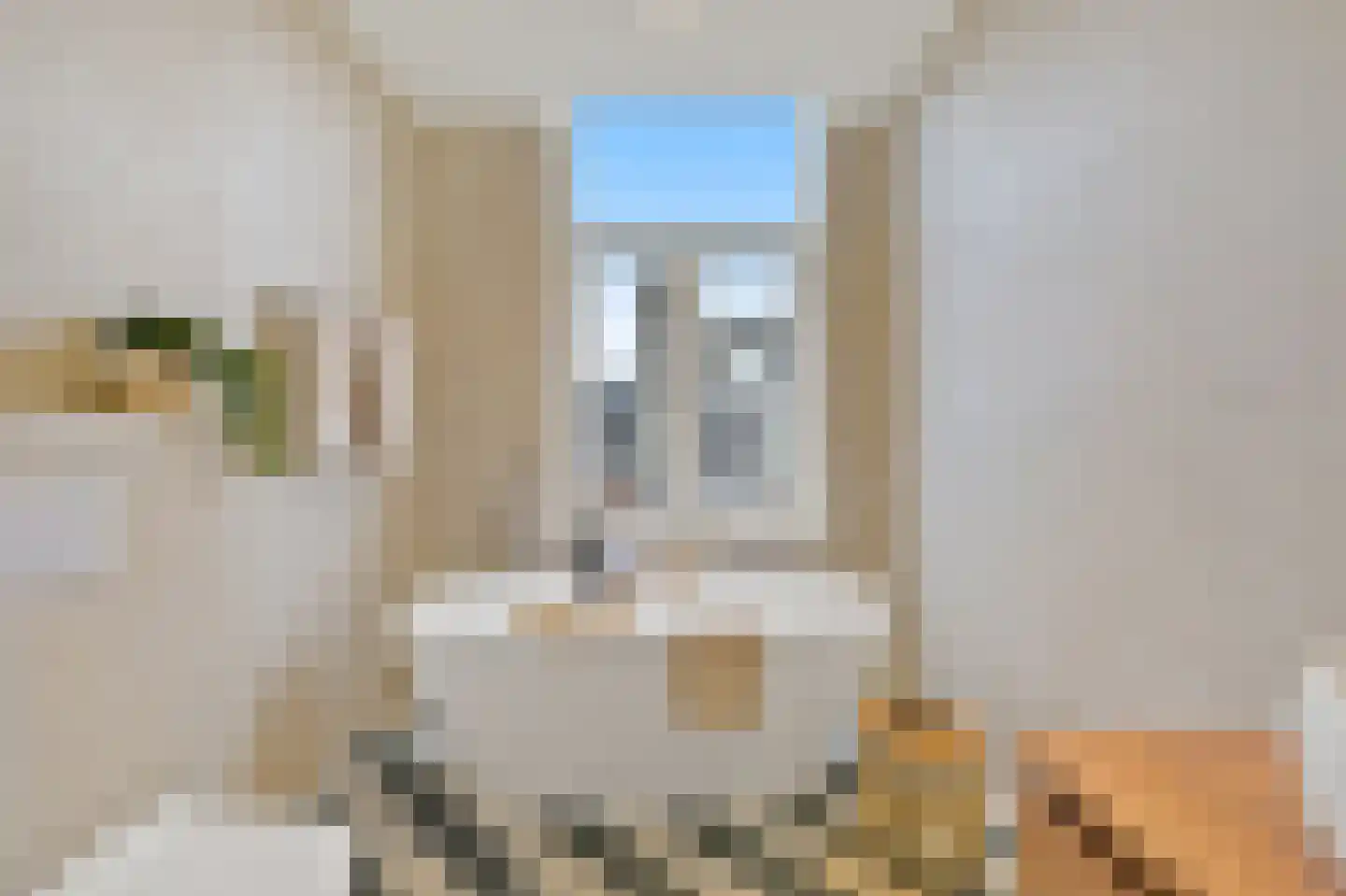2e Sweelinckstraat 83 Den Haag thumbnail 57
