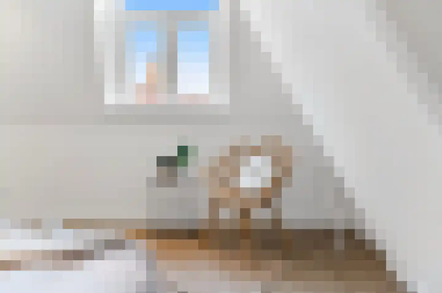 2e Sweelinckstraat 83 Den Haag thumbnail 64