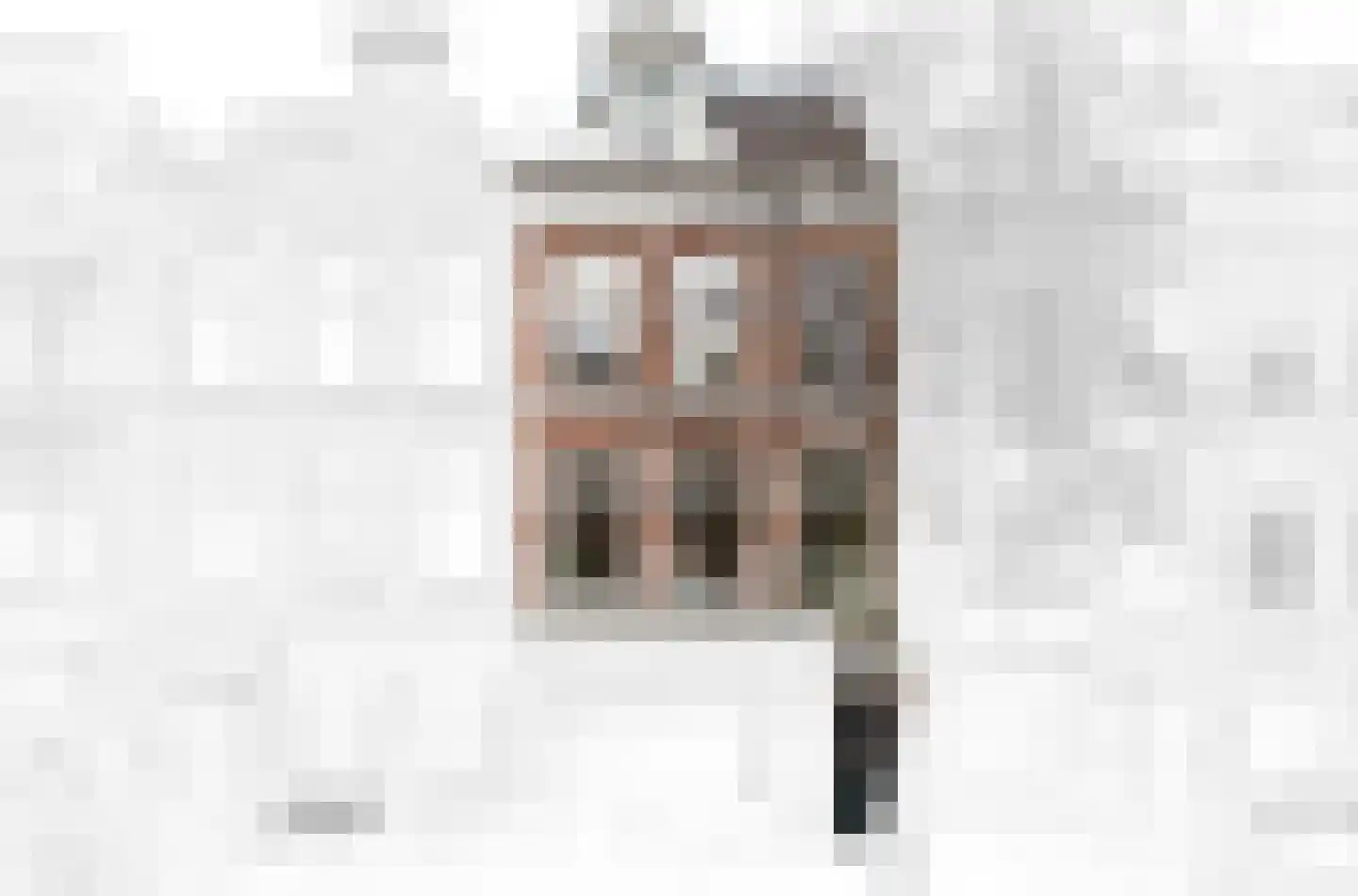 2e Sweelinckstraat 83 Den Haag thumbnail 7
