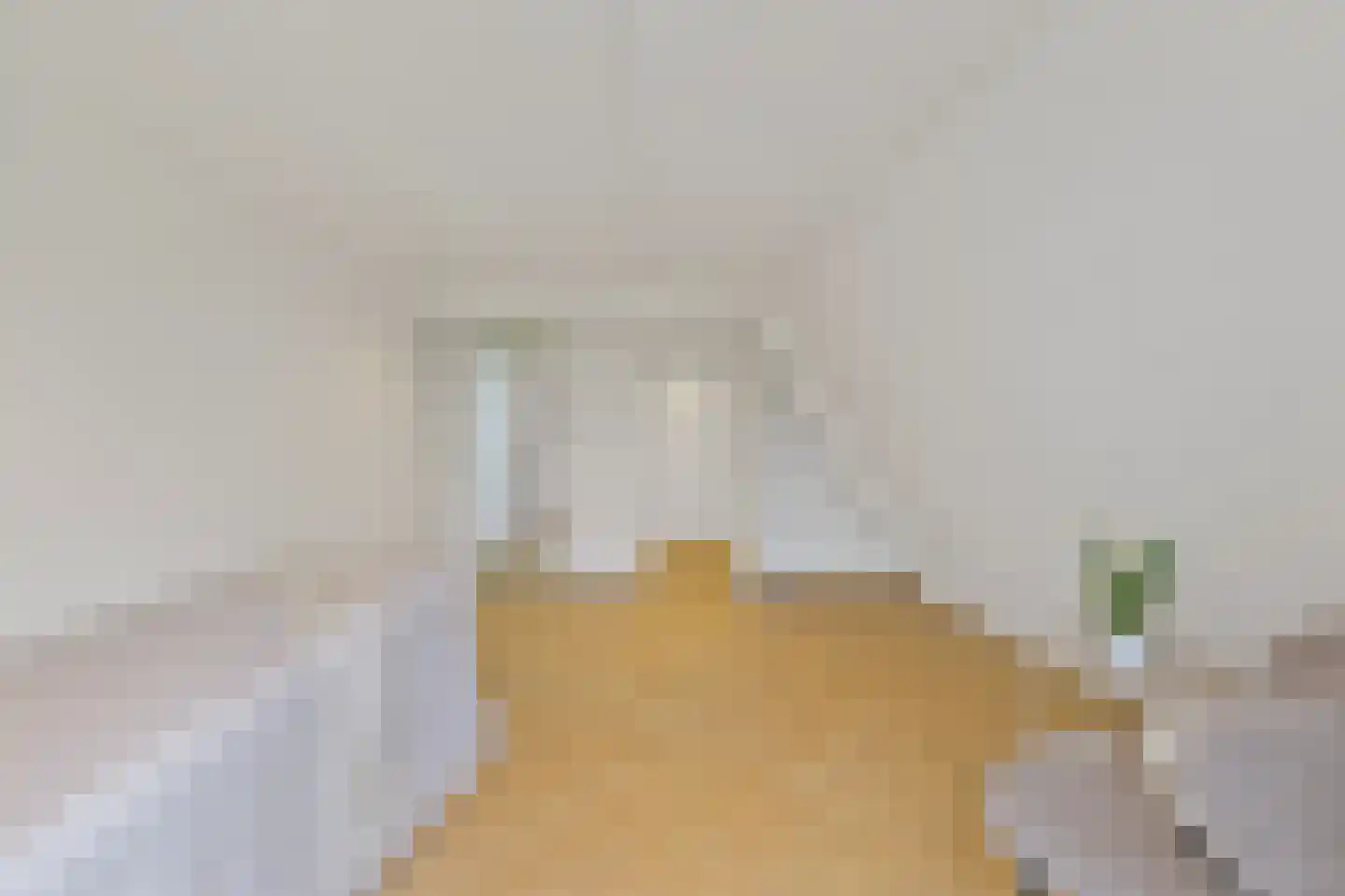 2e Sweelinckstraat 83 Den Haag thumbnail 72