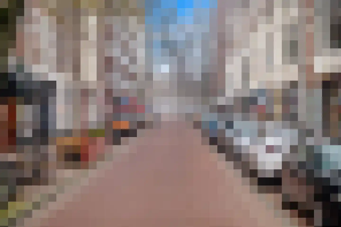 2e Sweelinckstraat 83 Den Haag thumbnail 84