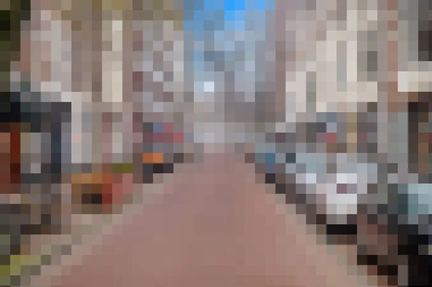 2e Sweelinckstraat 83 Den Haag thumbnail 85