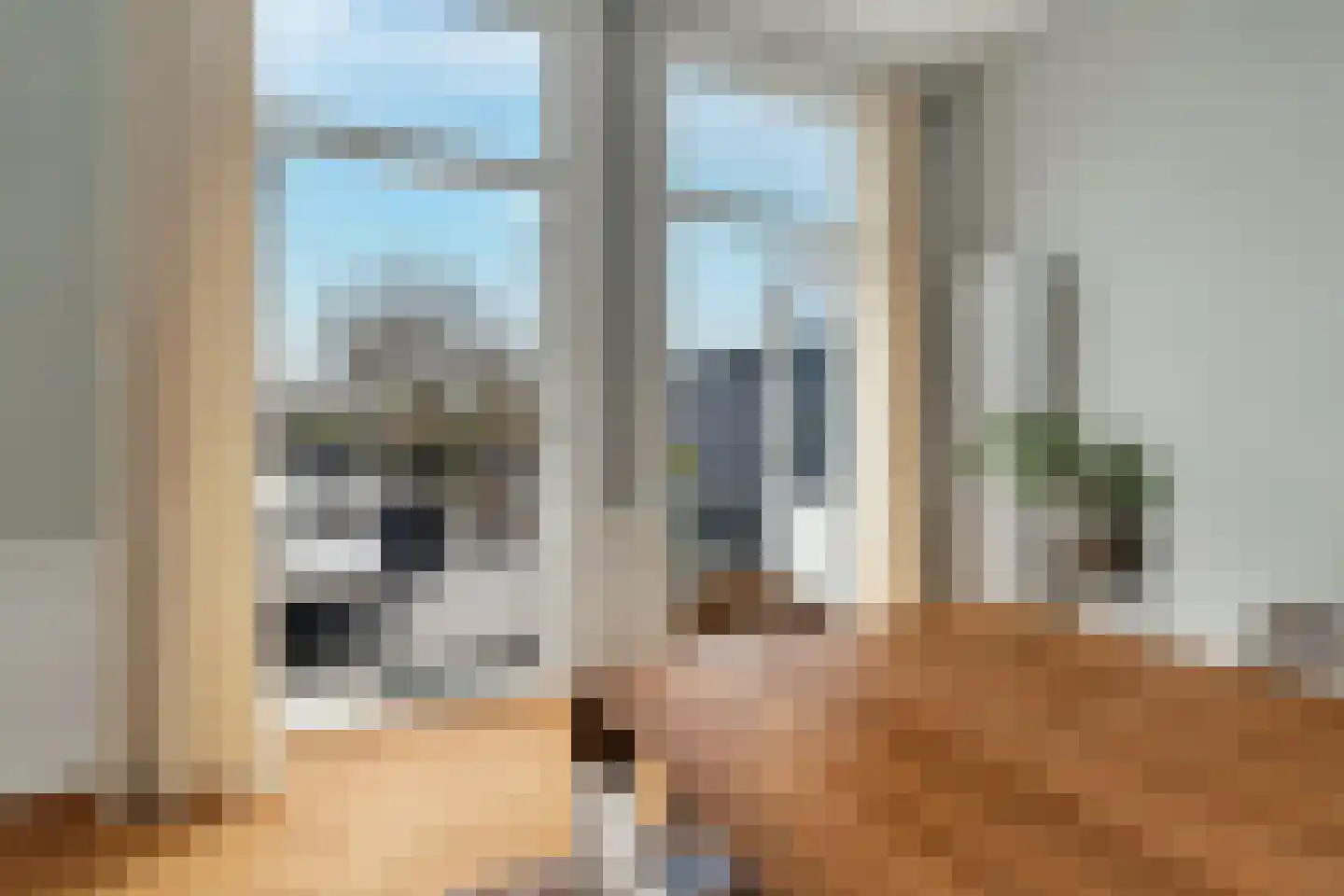 2e Sweelinckstraat 86 Den Haag thumbnail 22