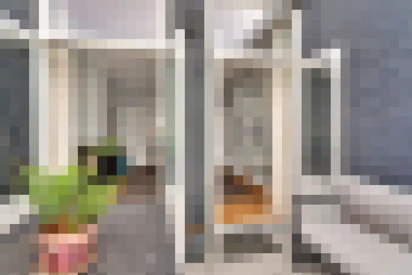 2e Sweelinckstraat 86 Den Haag thumbnail 26