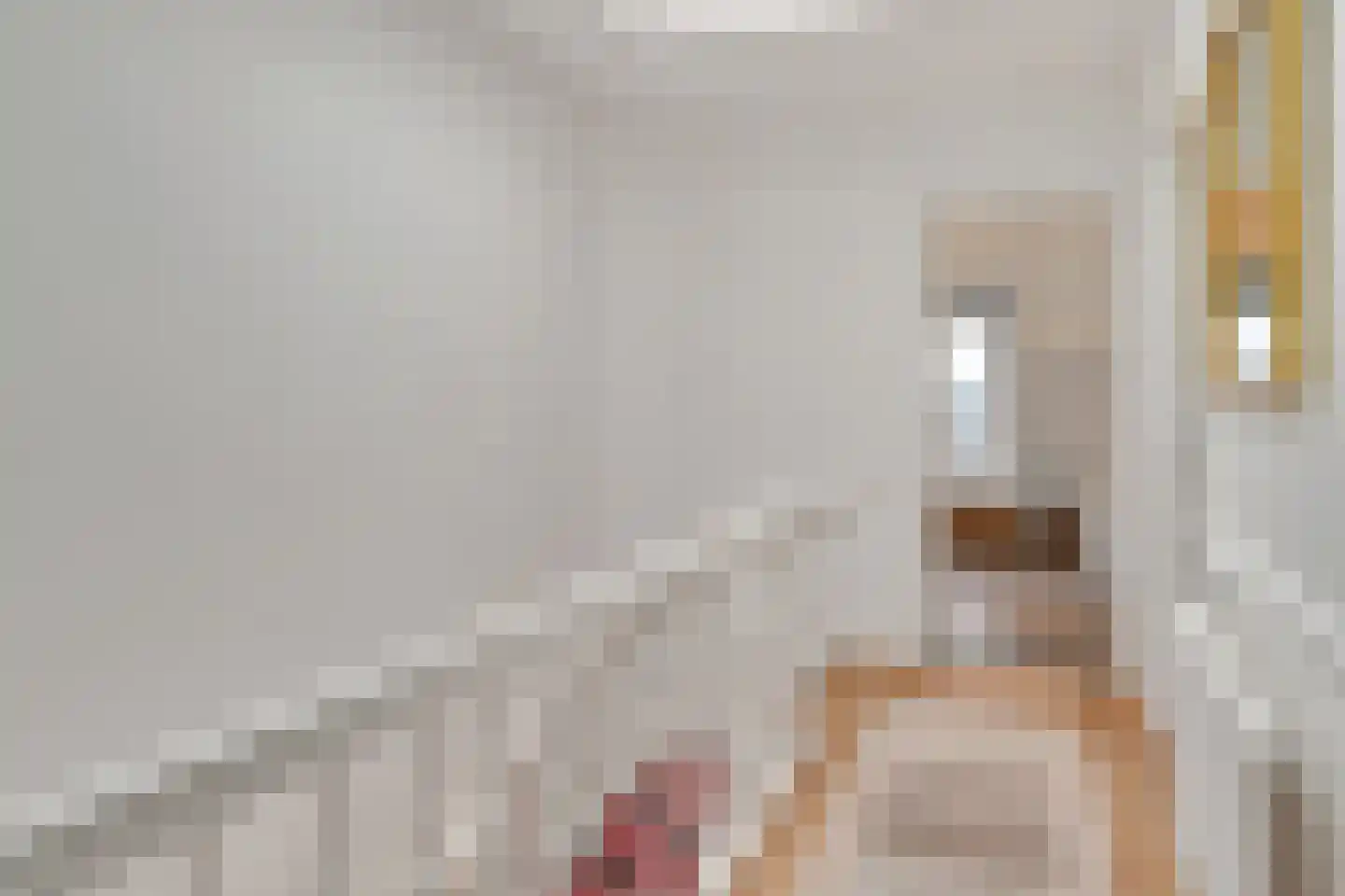 2e Sweelinckstraat 86 Den Haag thumbnail 36