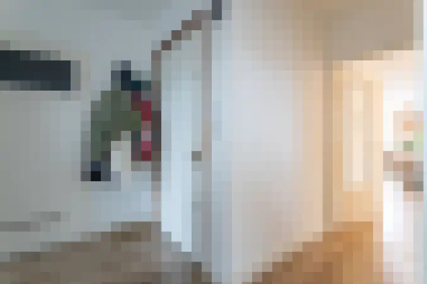 2e Sweelinckstraat 88 B Den Haag thumbnail 15