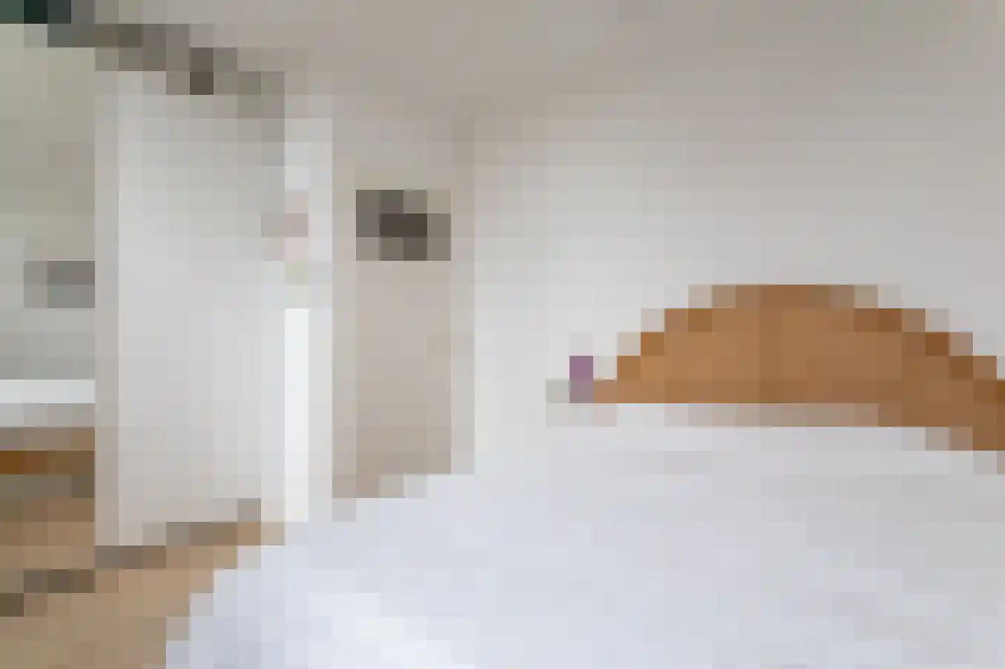 2e Sweelinckstraat 88 B Den Haag thumbnail 21