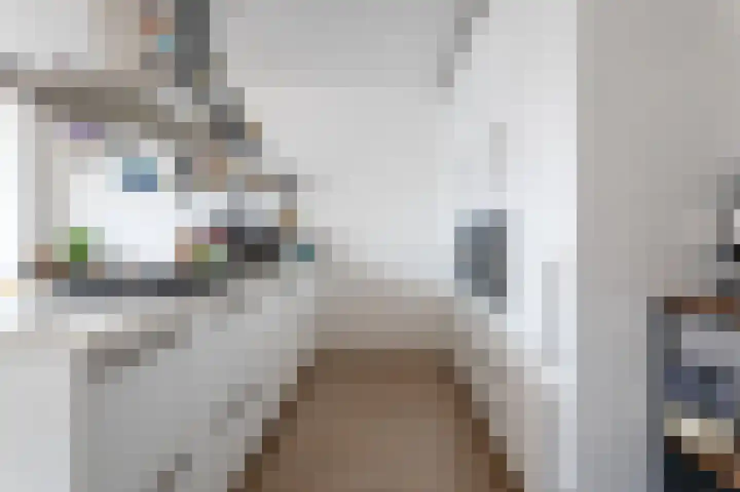 2e Sweelinckstraat 88 B Den Haag thumbnail 6
