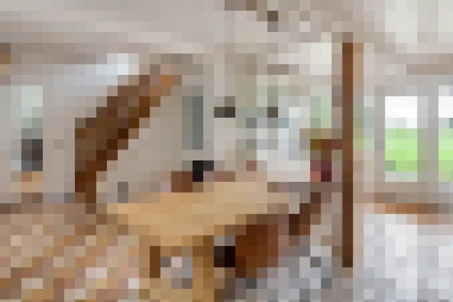 2e Tieflaarsestraat 4 Neerijnen thumbnail 14