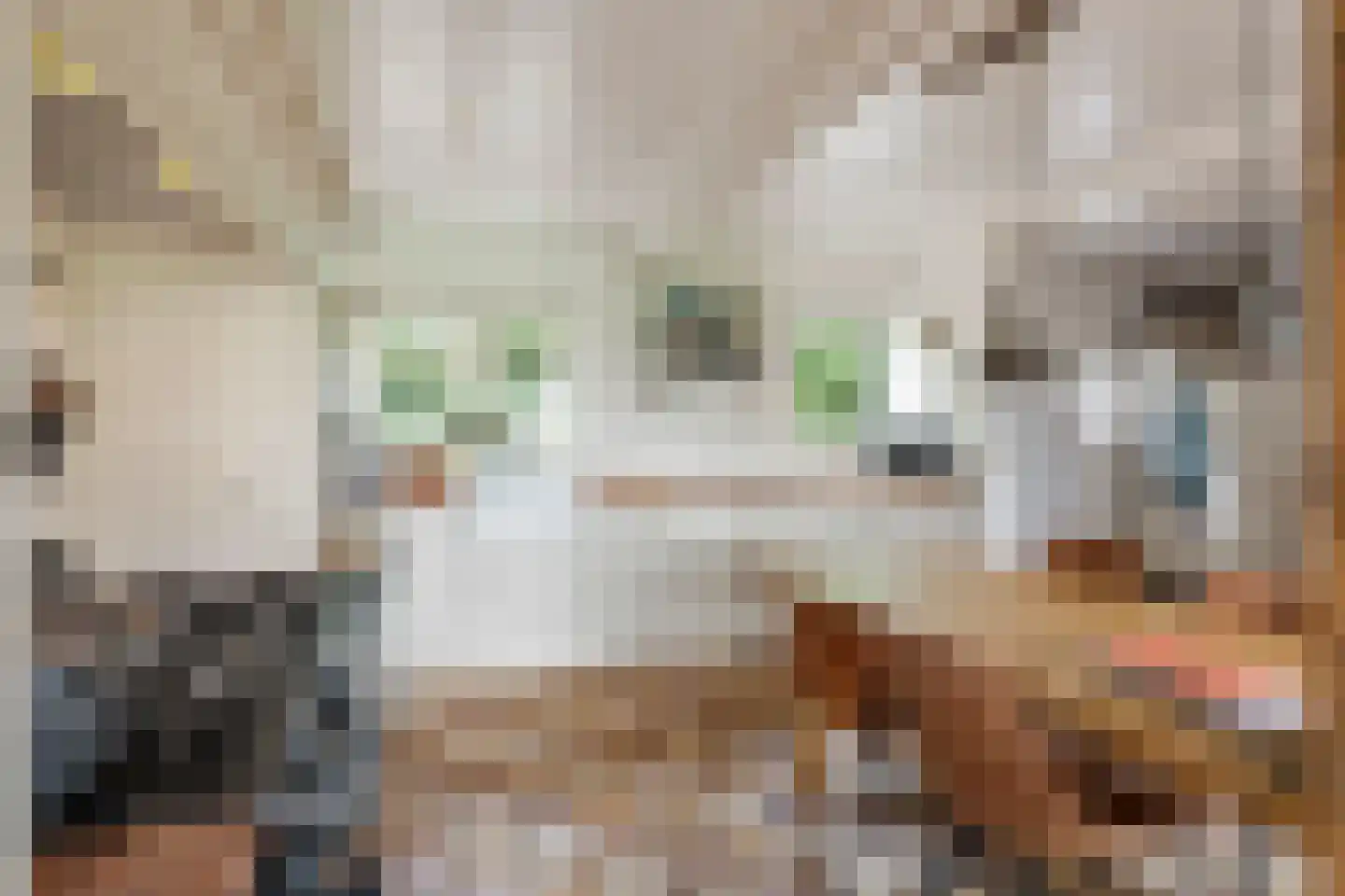 2e Tieflaarsestraat 4 Neerijnen thumbnail 19