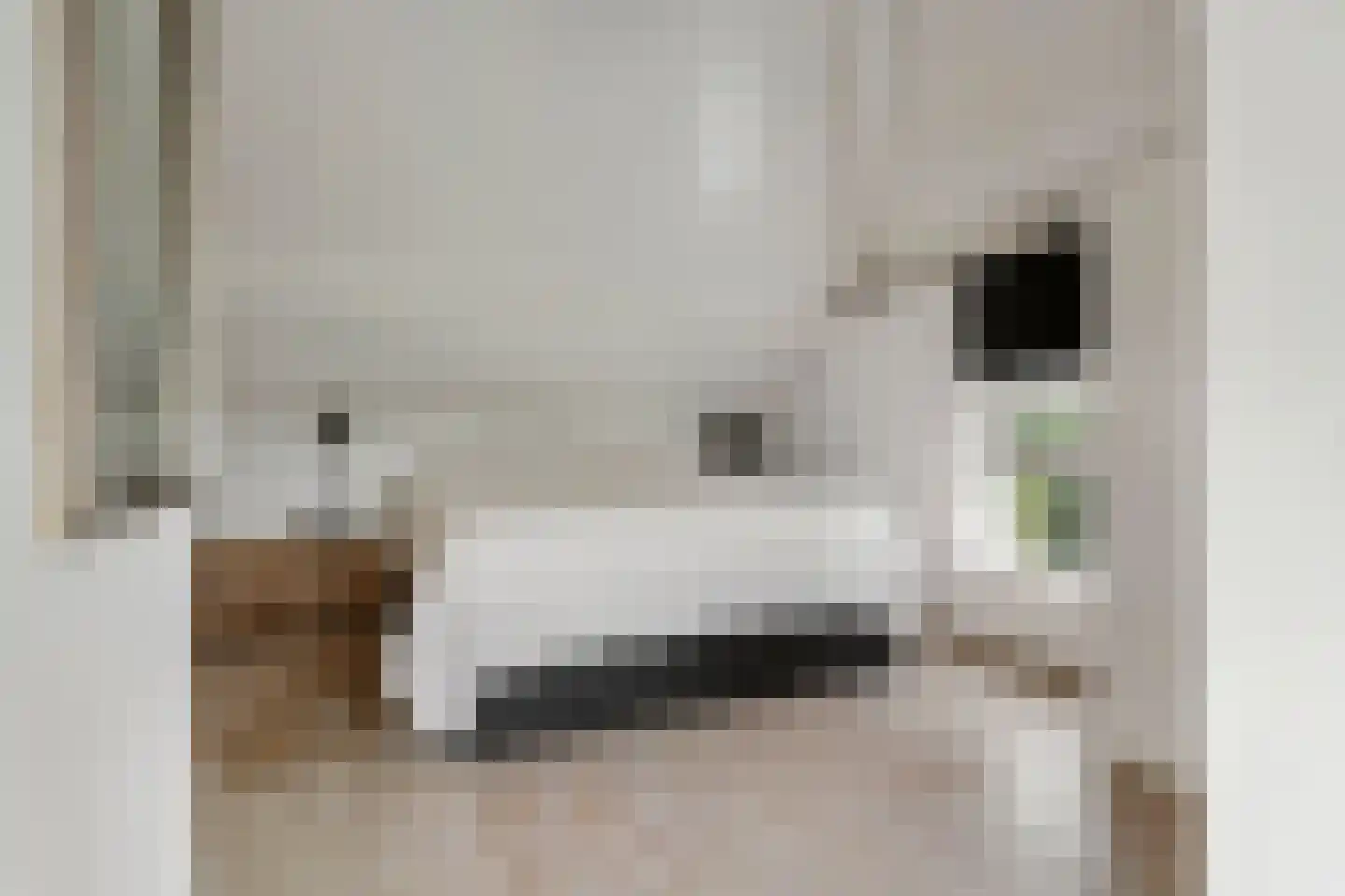2e Tieflaarsestraat 4 Neerijnen thumbnail 26