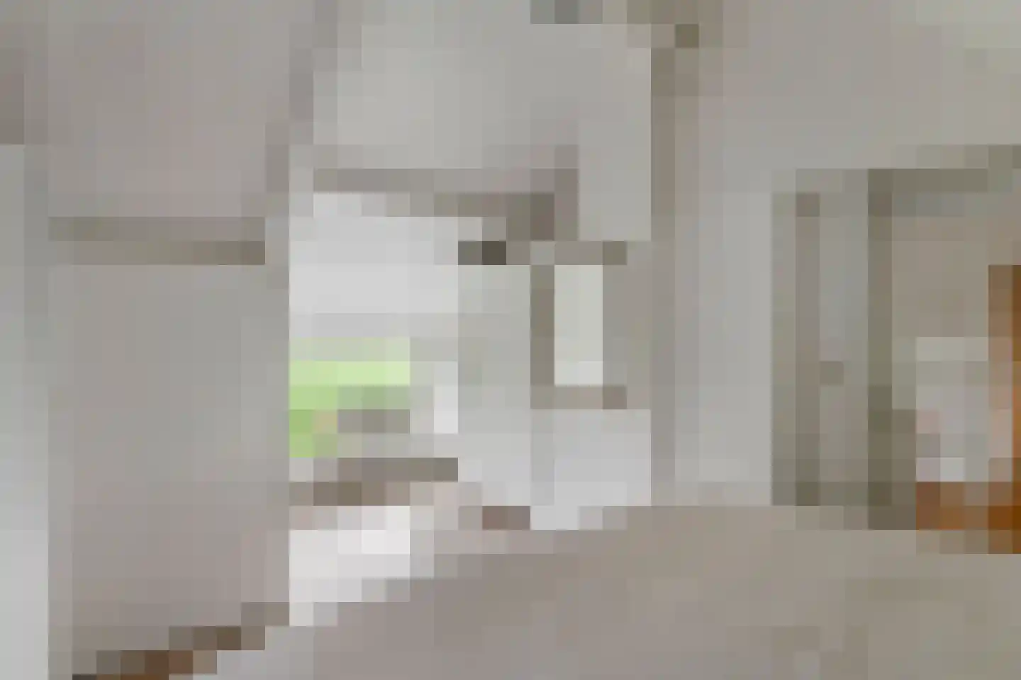 2e Tieflaarsestraat 4 Neerijnen thumbnail 28