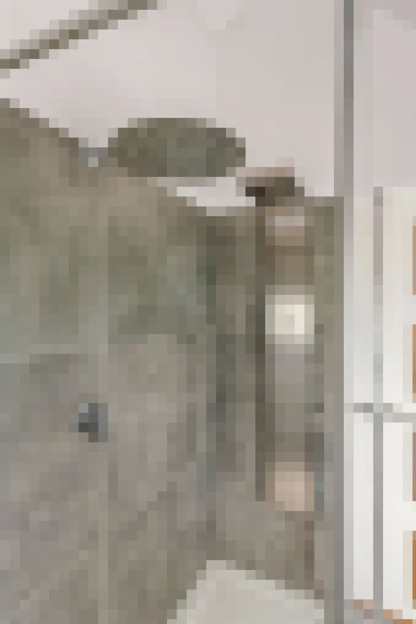 2e Tieflaarsestraat 4 Neerijnen thumbnail 33