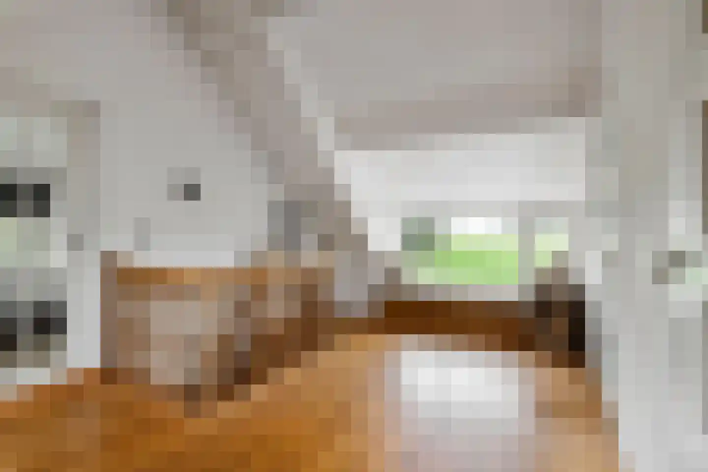 2e Tieflaarsestraat 4 Neerijnen thumbnail 34