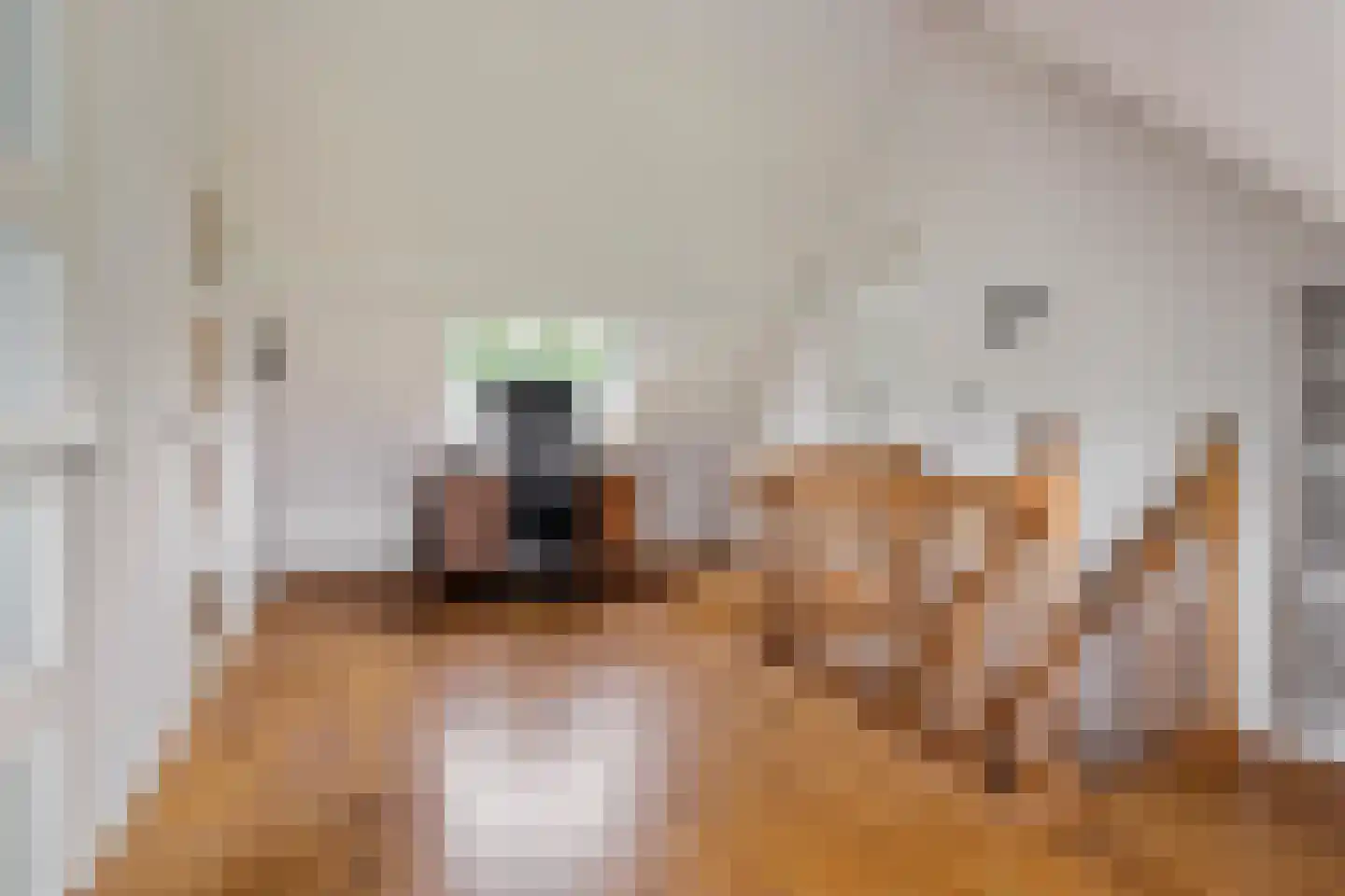 2e Tieflaarsestraat 4 Neerijnen thumbnail 35