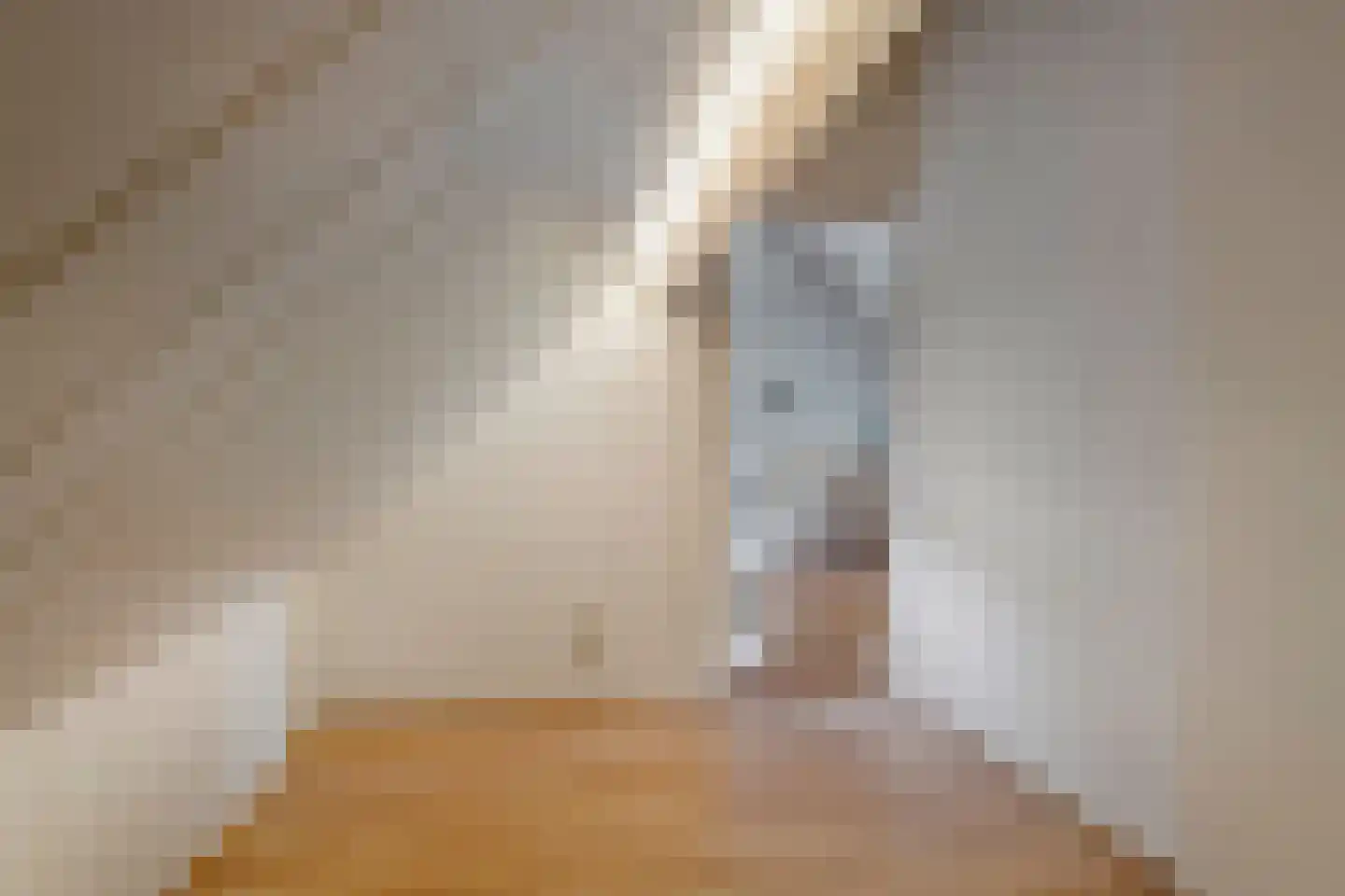 2e Tieflaarsestraat 4 Neerijnen thumbnail 36