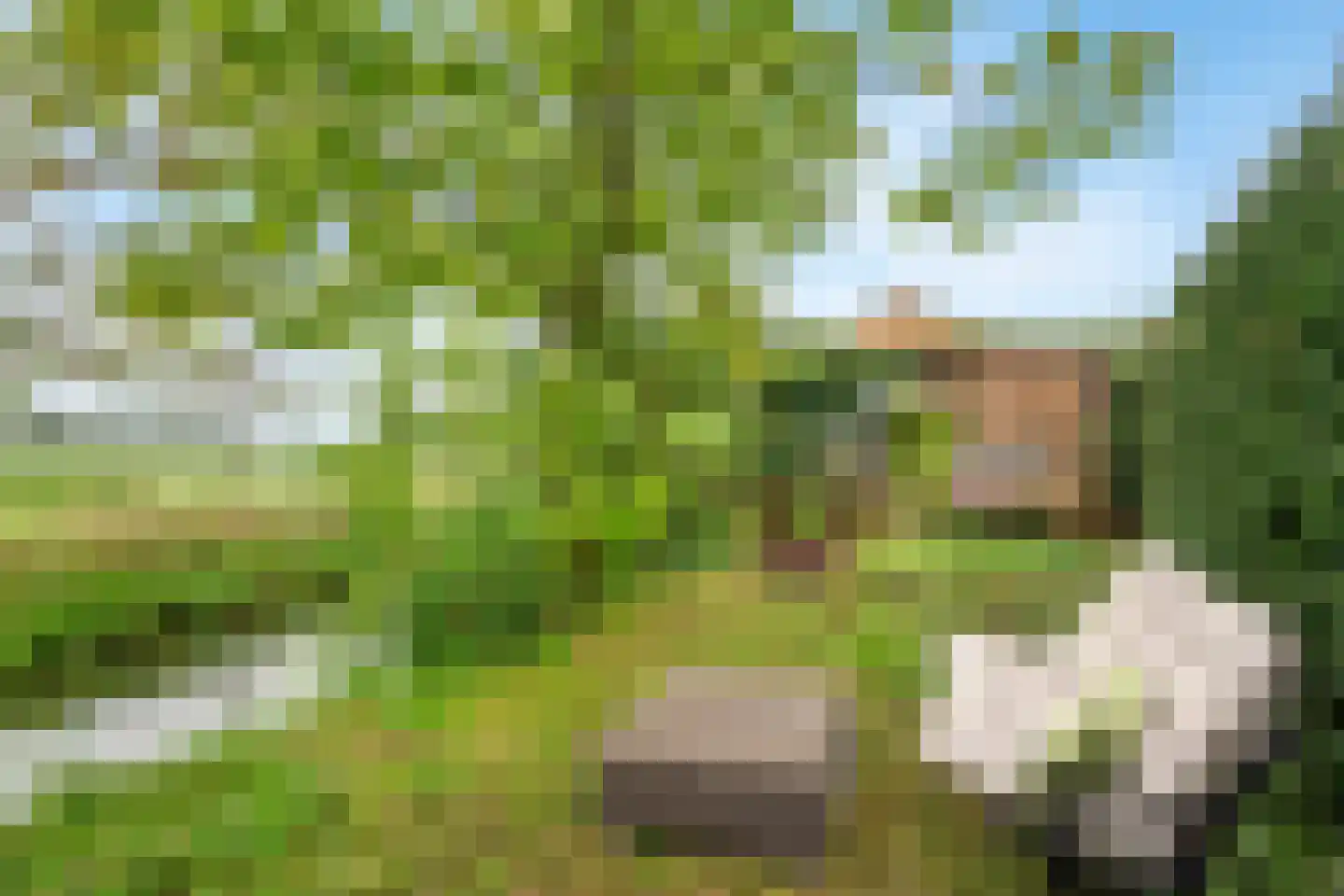 2e Tieflaarsestraat 4 Neerijnen thumbnail 45