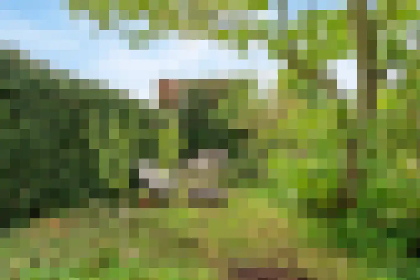 2e Tieflaarsestraat 4 Neerijnen thumbnail 46