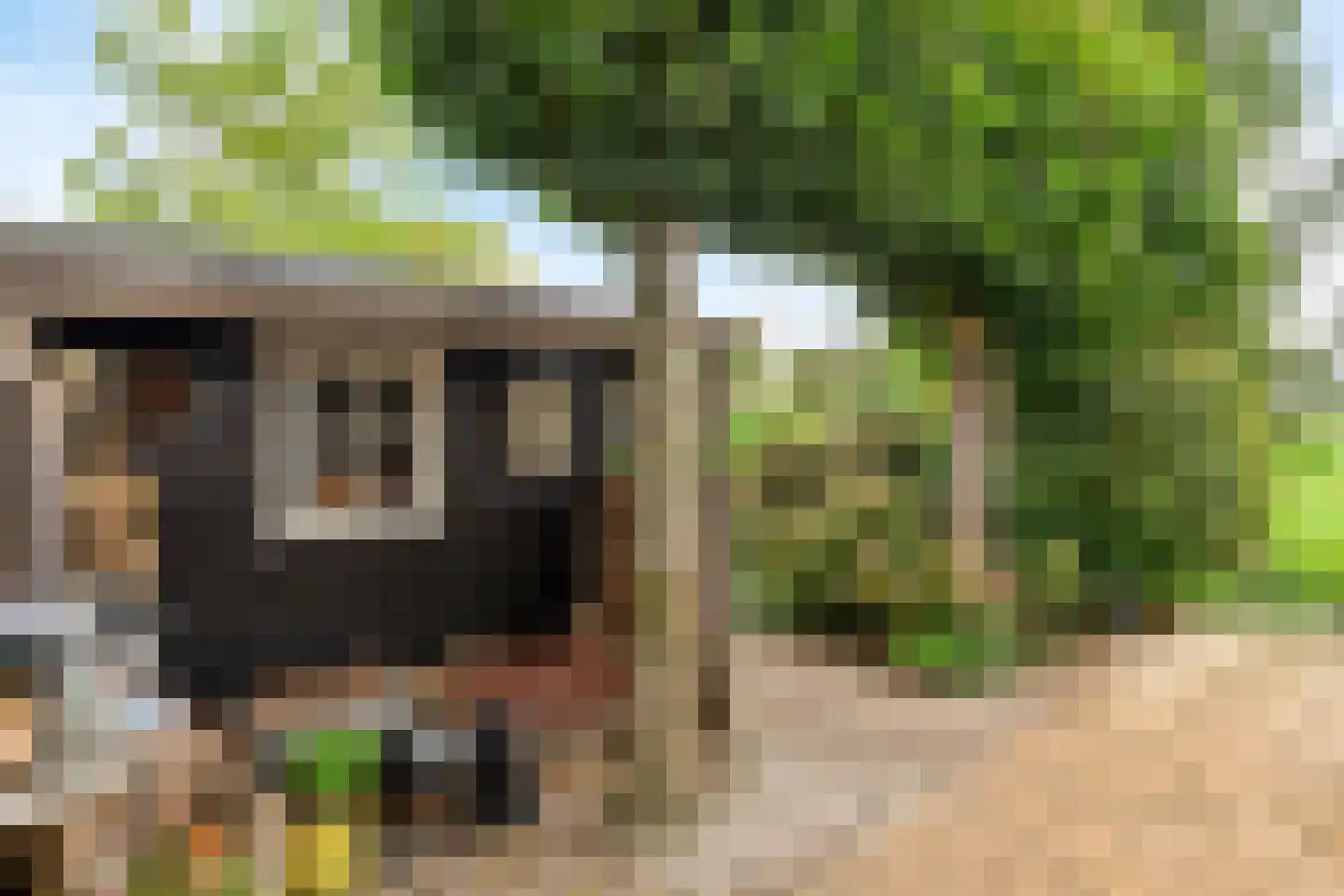 2e Tieflaarsestraat 4 Neerijnen thumbnail 47