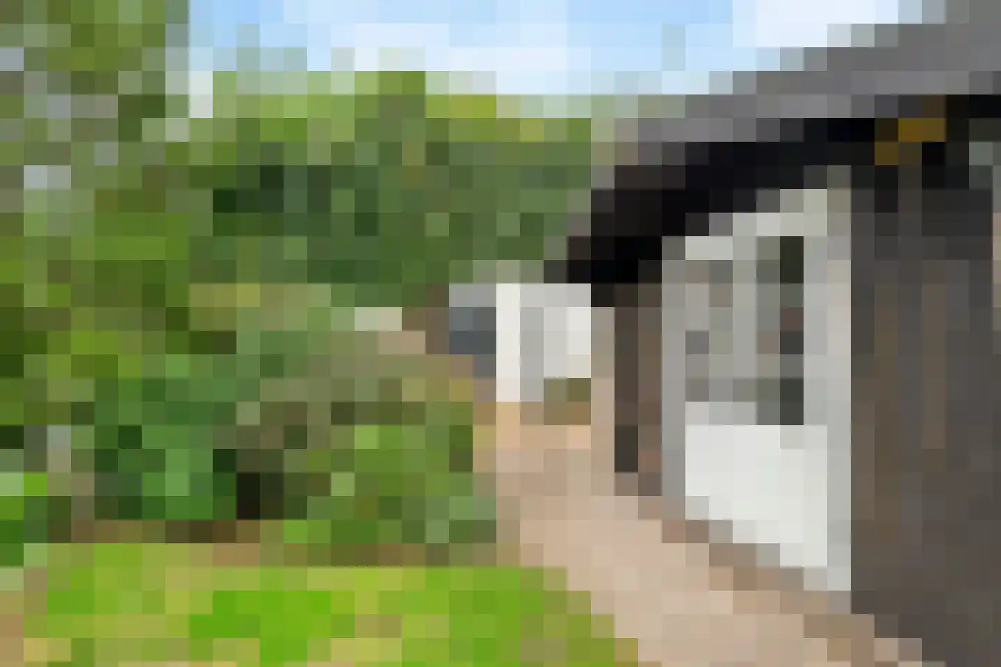2e Tieflaarsestraat 4 Neerijnen thumbnail 48