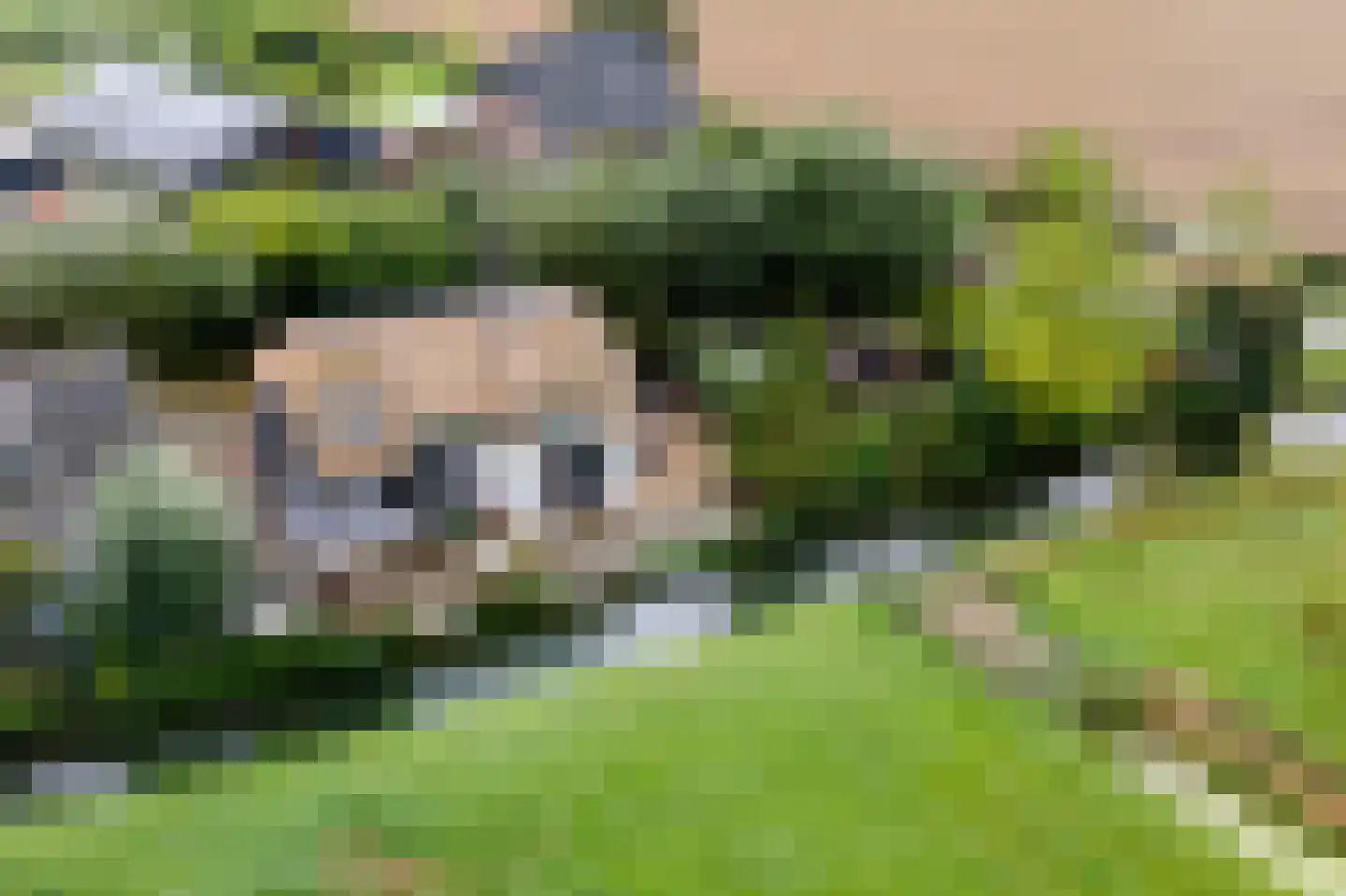 2e Tieflaarsestraat 4 Neerijnen thumbnail 51