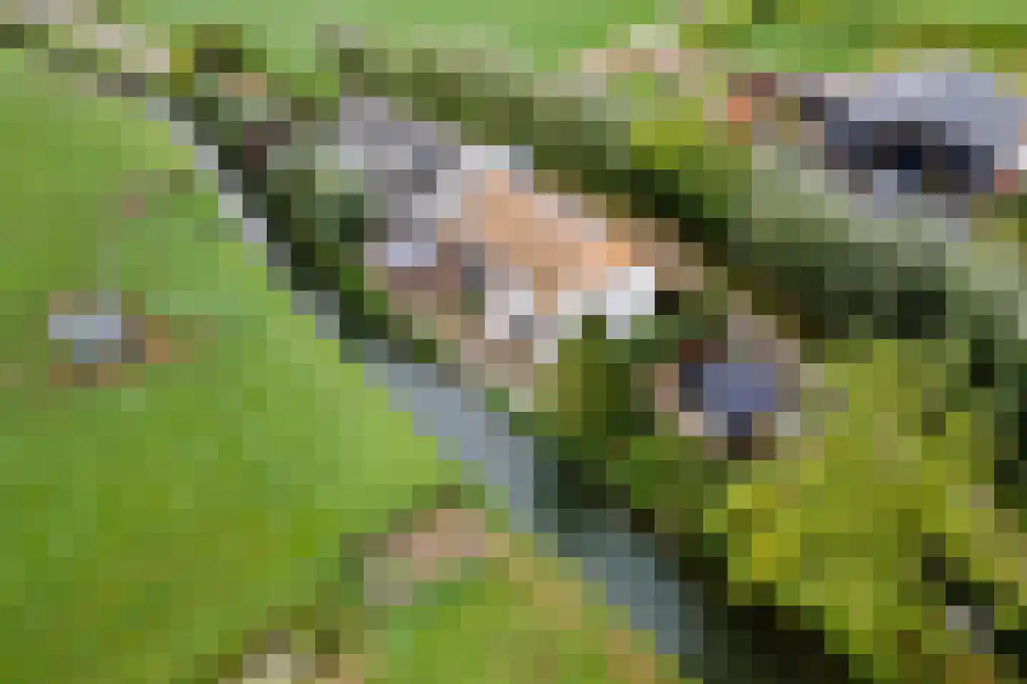 2e Tieflaarsestraat 4 Neerijnen thumbnail 52