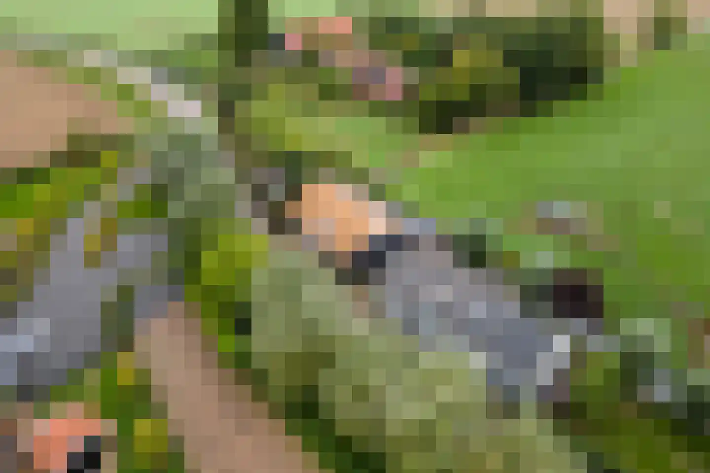 2e Tieflaarsestraat 4 Neerijnen thumbnail 53