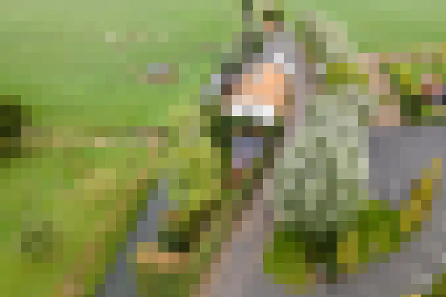 2e Tieflaarsestraat 4 Neerijnen thumbnail 54