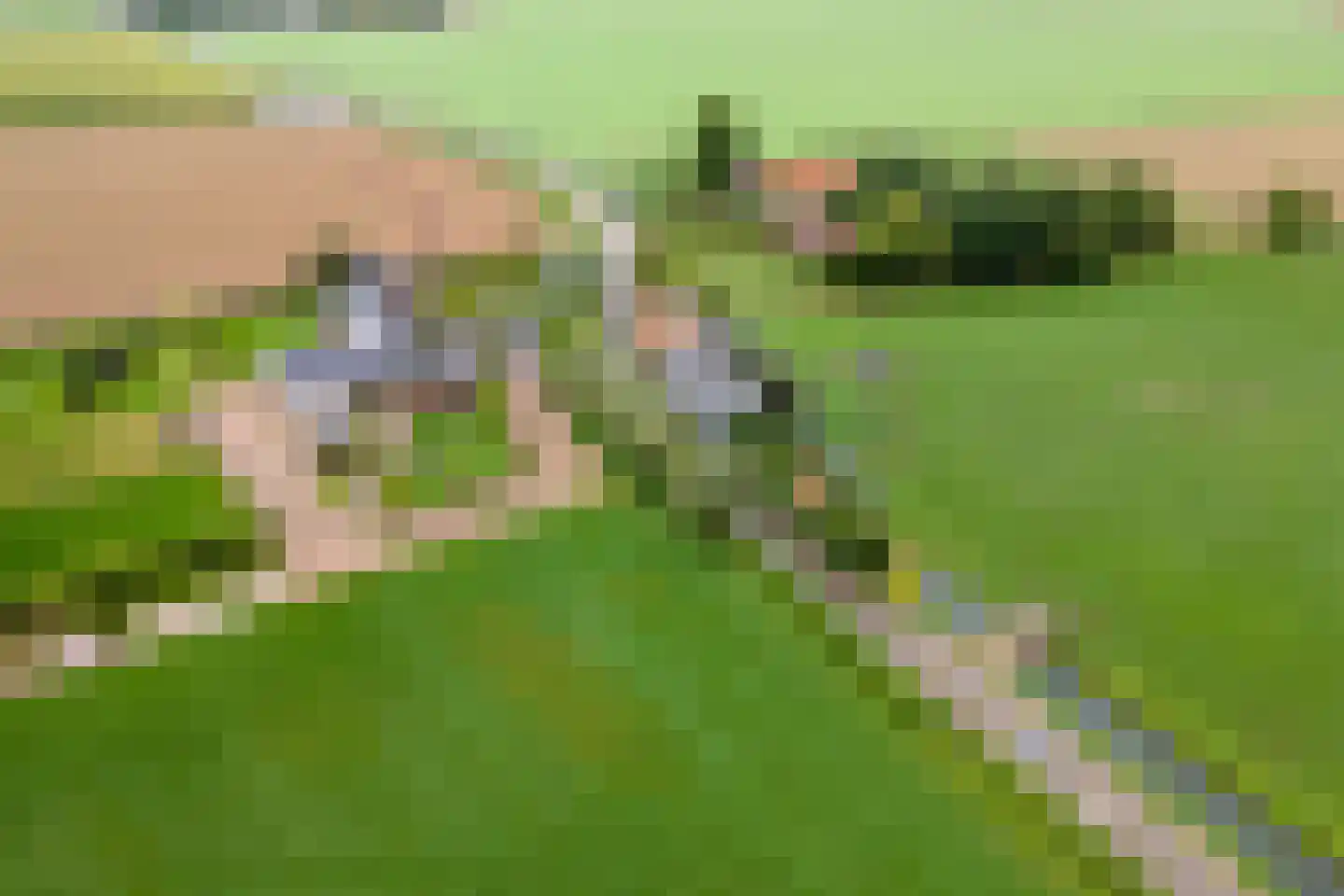 2e Tieflaarsestraat 4 Neerijnen thumbnail 55