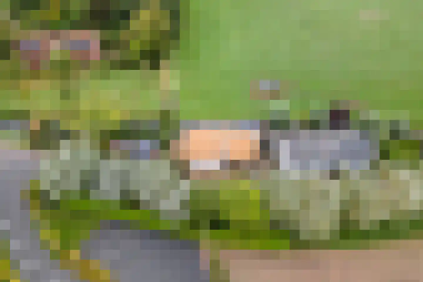 2e Tieflaarsestraat 4 Neerijnen thumbnail 57