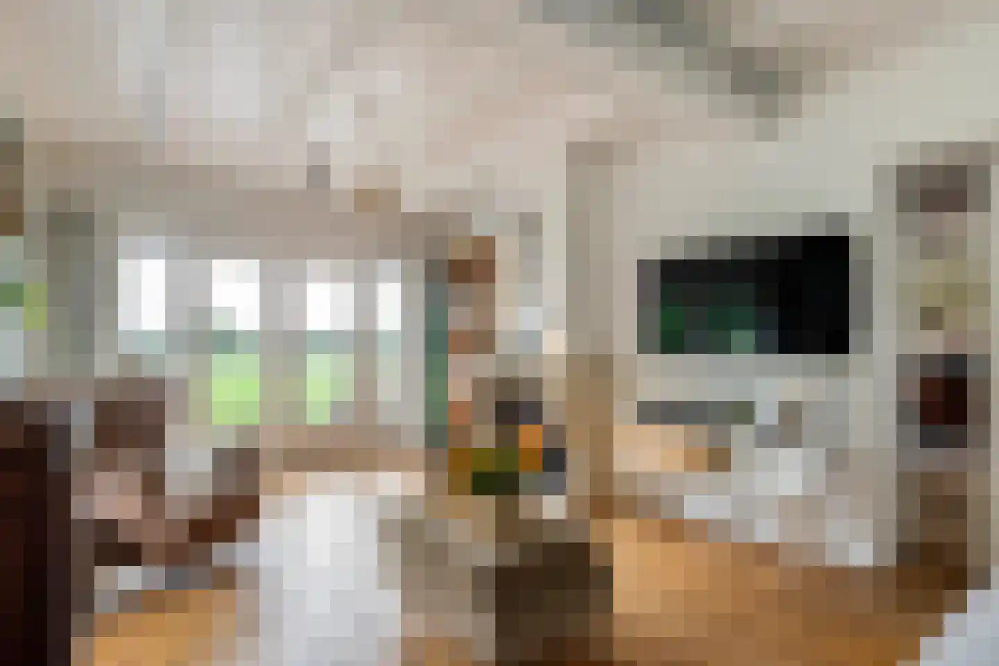 2e Tieflaarsestraat 4 Neerijnen thumbnail 6