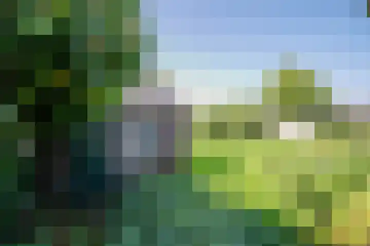 2e Tochtweg 18 a Nieuwerkerk aan den IJssel thumbnail 12