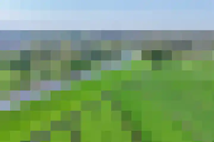 2e Tochtweg 18 a Nieuwerkerk aan den IJssel thumbnail 18